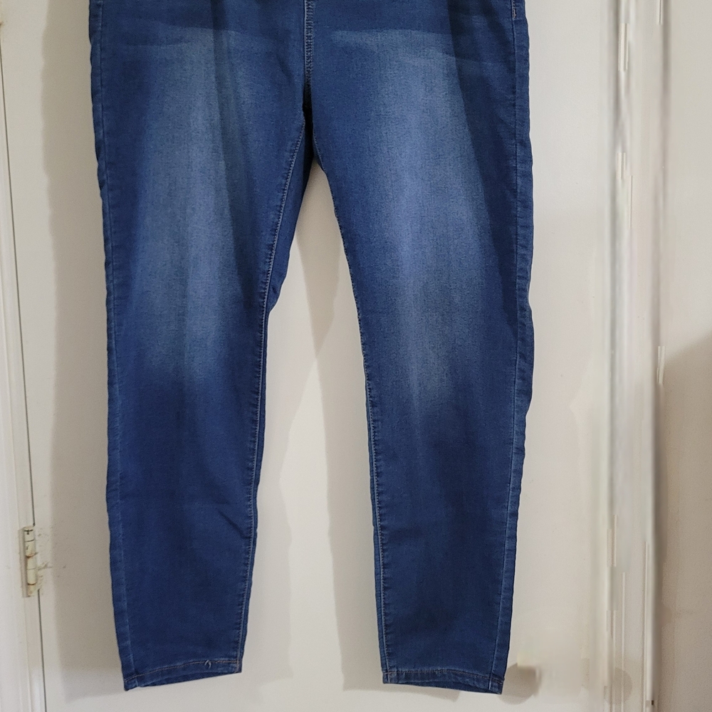 Avenue Women's Blue Skinny Jeans